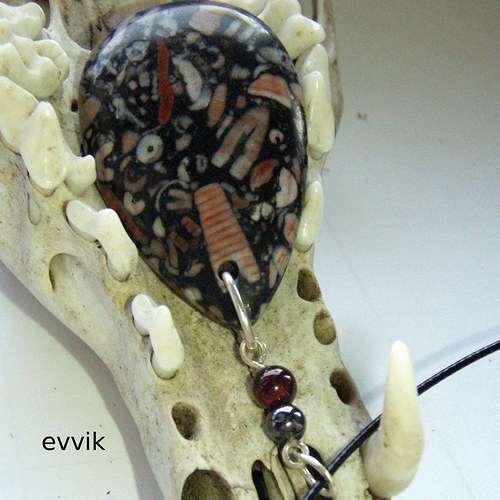 Prvohorní crinoidy — foto 4