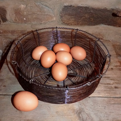 Na vajíčka...ovoce...zeleninu... — foto 3