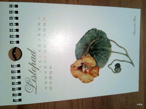 Kalendar 2012 — foto 2