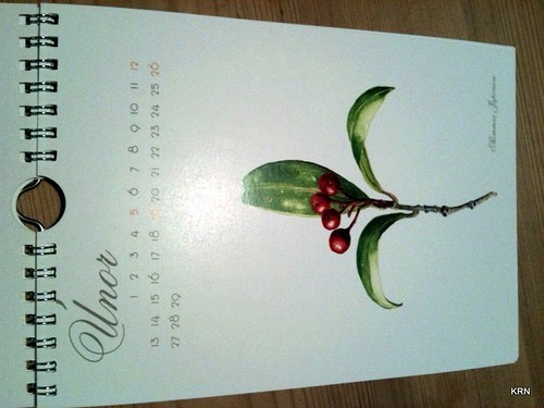Kalendar 2012 — foto 3