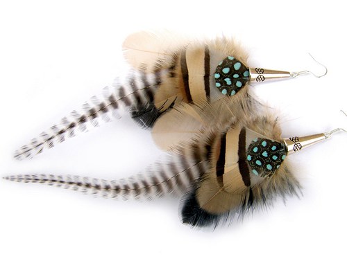 Zebra — foto 2