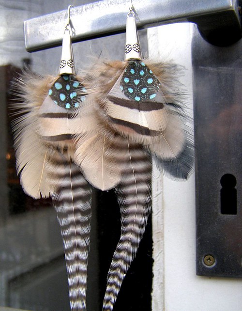 Zebra — foto 5
