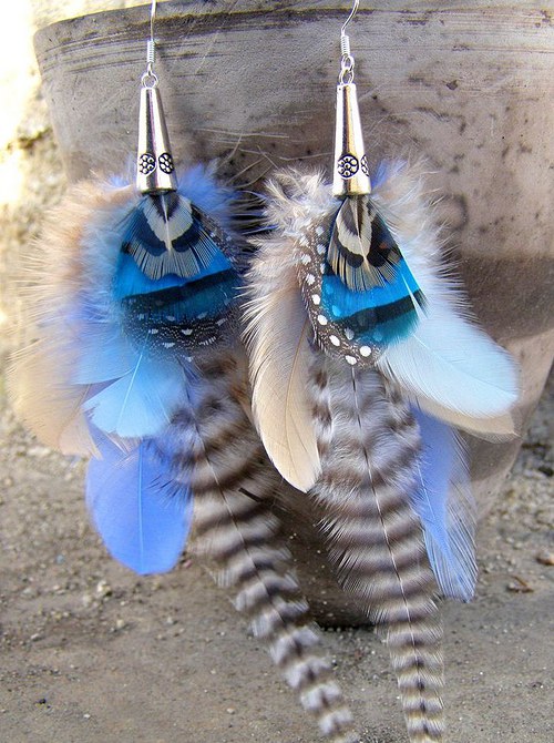 Blue Zebra — foto 2