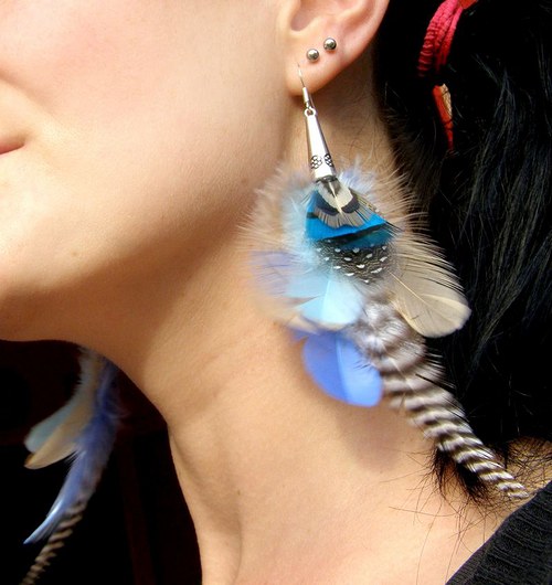 Blue Zebra — foto 4
