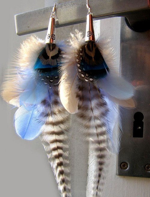 Blue Zebra — foto 5