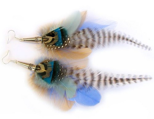 Blue Zebra — foto 6