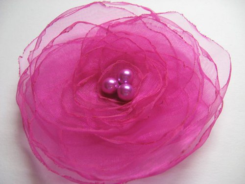 Fuchsie... — foto 2