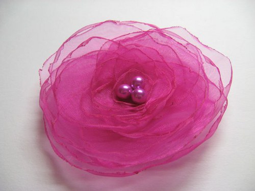 Fuchsie... — foto 3