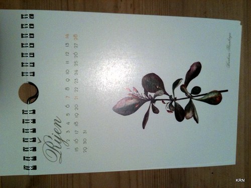Kalendar 2012 — foto 4
