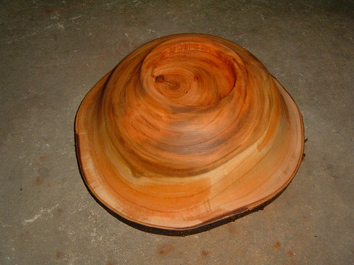Kůrová — foto 2