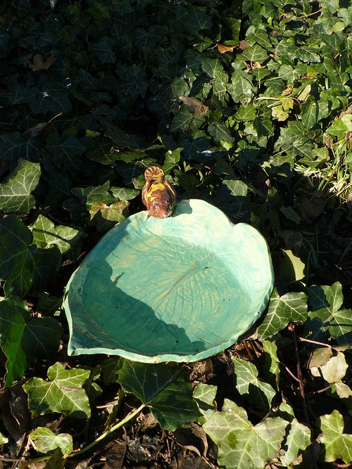 Pil bych... — foto 2