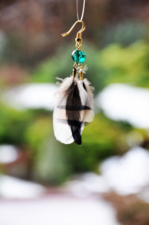 NatureLittleBird. — foto 3
