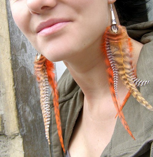 Orange Zebra — foto 2