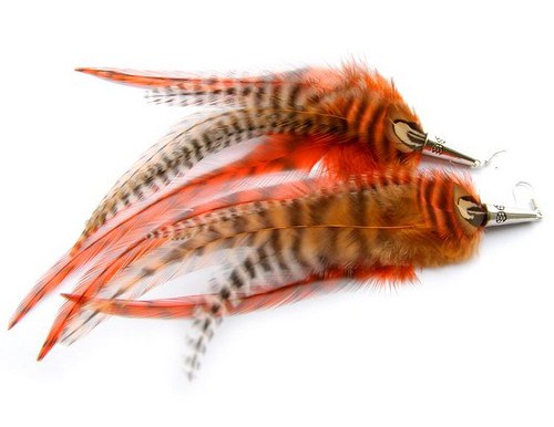 Orange Zebra — foto 3