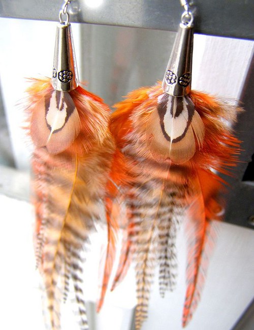 Orange Zebra — foto 4