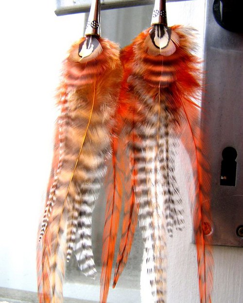 Orange Zebra — foto 5