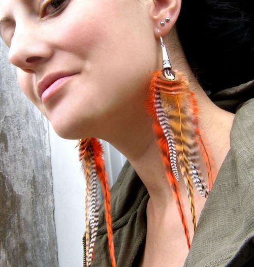 Orange Zebra — foto 6