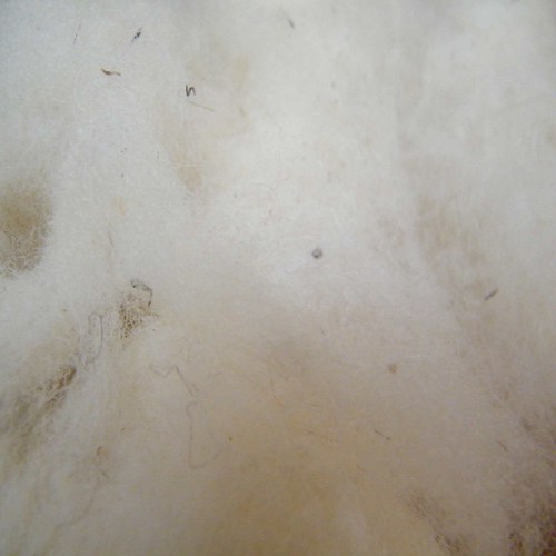Ovčí rouno 100 g — foto 2
