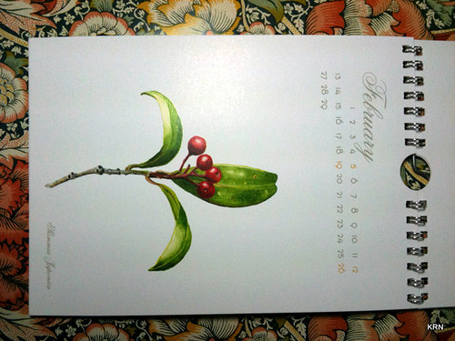 Calendar 2012 - SLEVA — foto 2