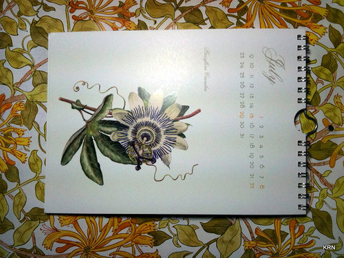 Calendar 2012 - SLEVA — foto 4