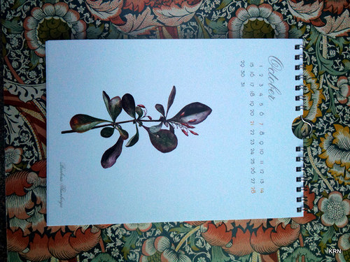 Calendar 2012 - SLEVA — foto 5