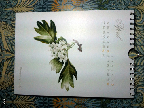 Calendar 2012 - SLEVA — foto 6