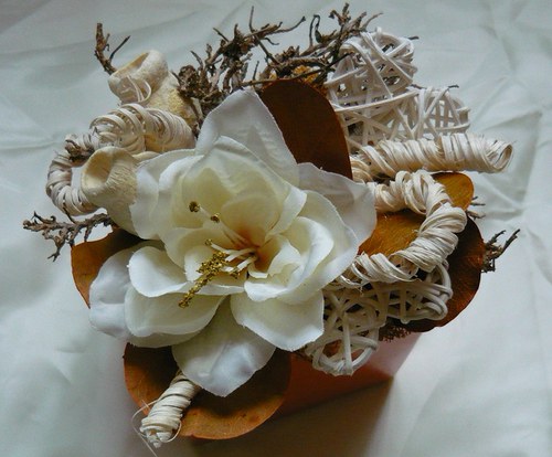 Amarilis v oranžovém — foto 2