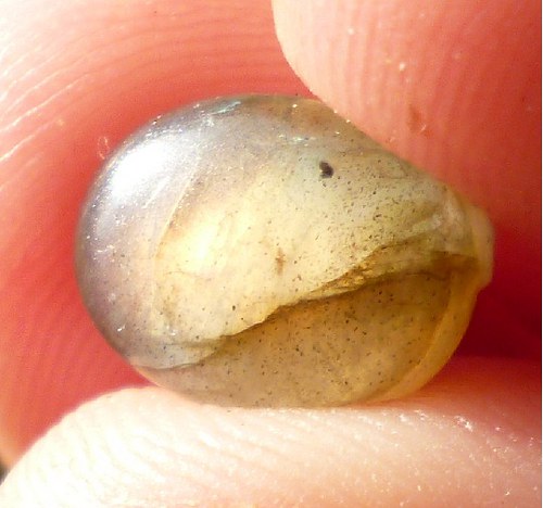 Labradorit -cabochon - pár — foto 3