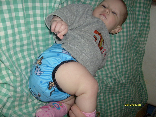 Svrchňáčky opičky — foto 3