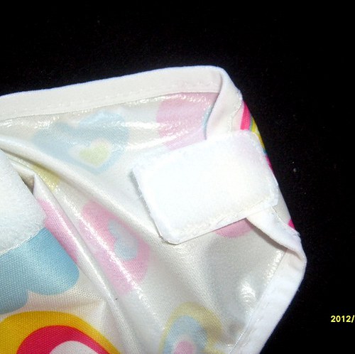 Svrchňáčky srdíčka — foto 3