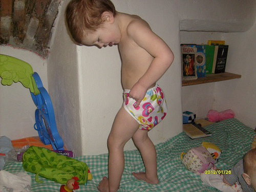 Svrchňáčky srdíčka — foto 5