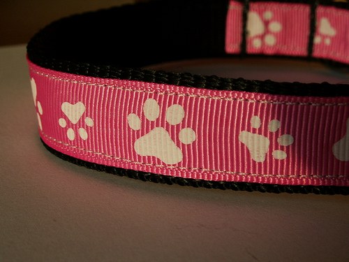 Obojek tlapičkový 25 - 35 cm — foto 3