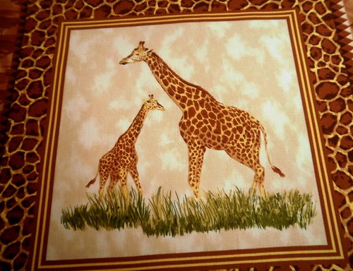 Safari panel... — foto 4