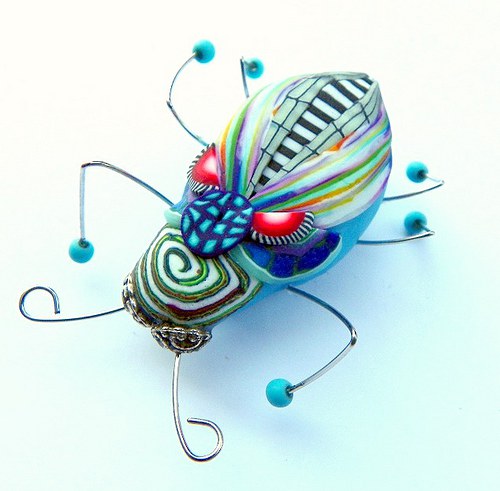 Brož hmyzák duhoreflexní — foto 2