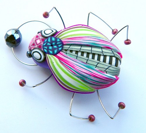 Brož hovniválek tečkatý — foto 2