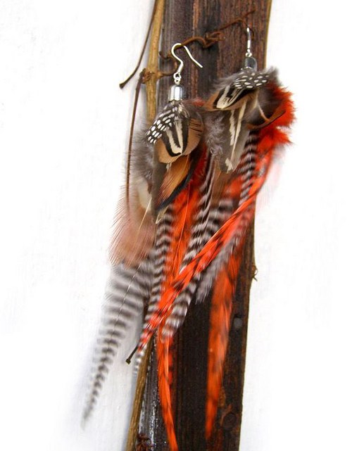 Orange Zebra — foto 3