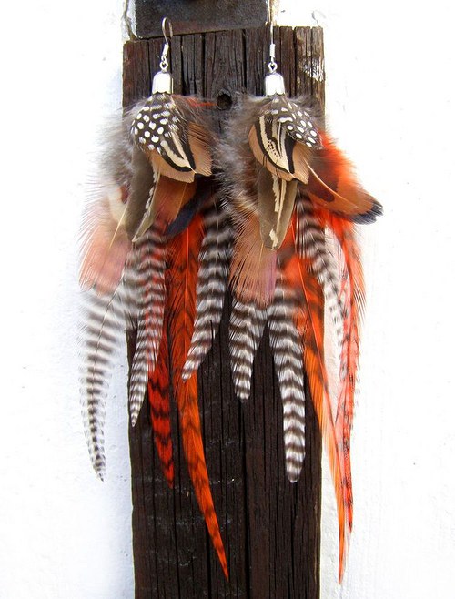 Orange Zebra — foto 4