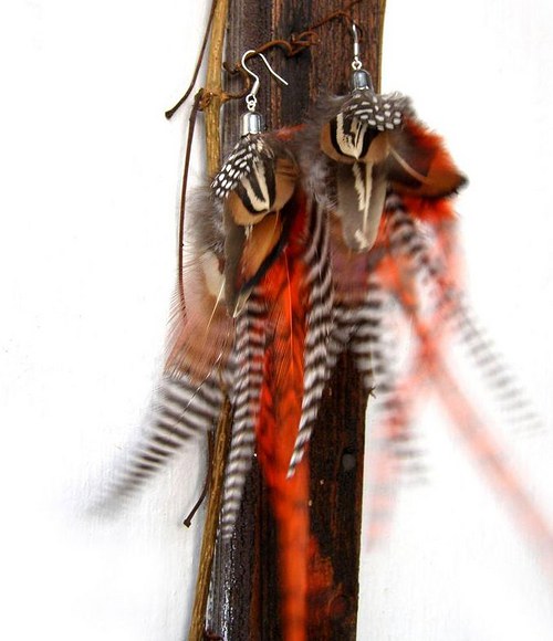 Orange Zebra — foto 5