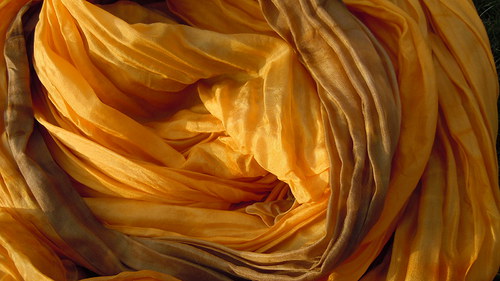 Slunečnice 180 x 90 vrapovaný — foto 2