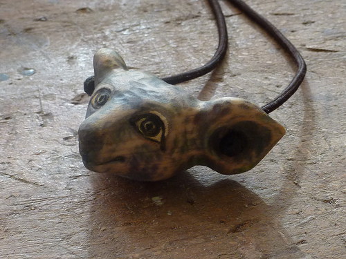 Mikomba ušatá — foto 2