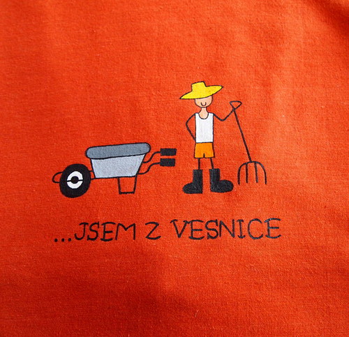 Jsem z vesnice:) — foto 2
