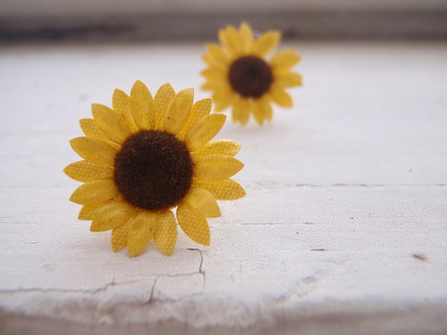 Sunflowers...SLEVA 10% NA VŠE! — foto 4
