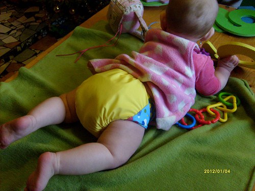 Kapsová se sloníma ušima :-) — foto 6