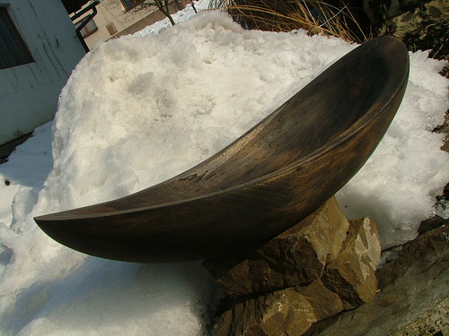 Velká ebenová — foto 3
