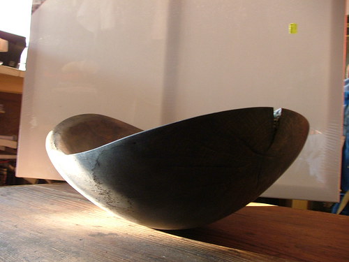 Velká ebenová — foto 4