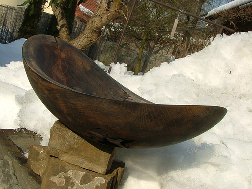 Velká ebenová — foto 6