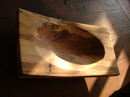 Exotická buková — foto 3