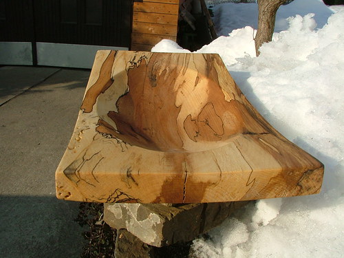 Exotická buková — foto 6