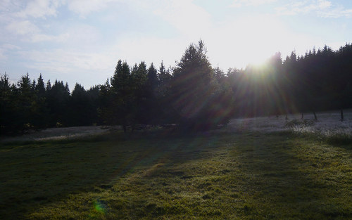 Mátová šťáva s třtinovým cukrem — foto 5