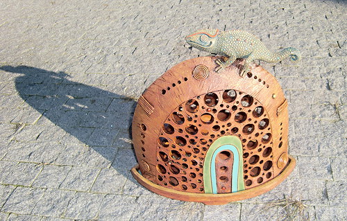 Chameleon na kopci — foto 2